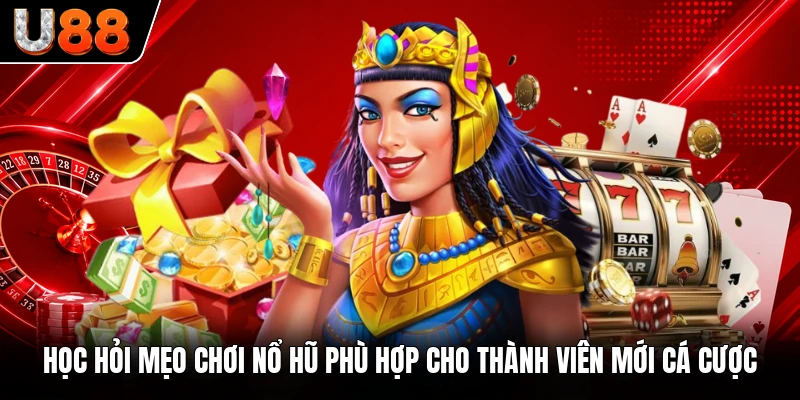 Học hỏi mẹo chơi nổ hũ phù hợp cho thành viên mới cá cược